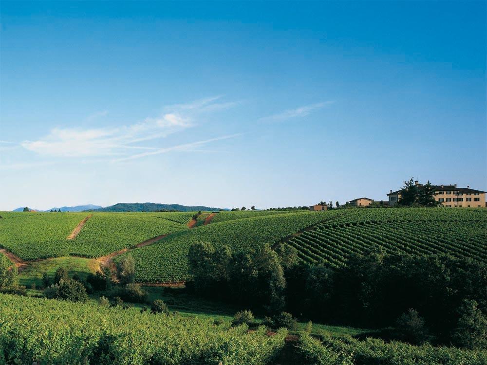 Agriturismo Tenuta La Marchesa Novi Ligure Zewnętrze zdjęcie